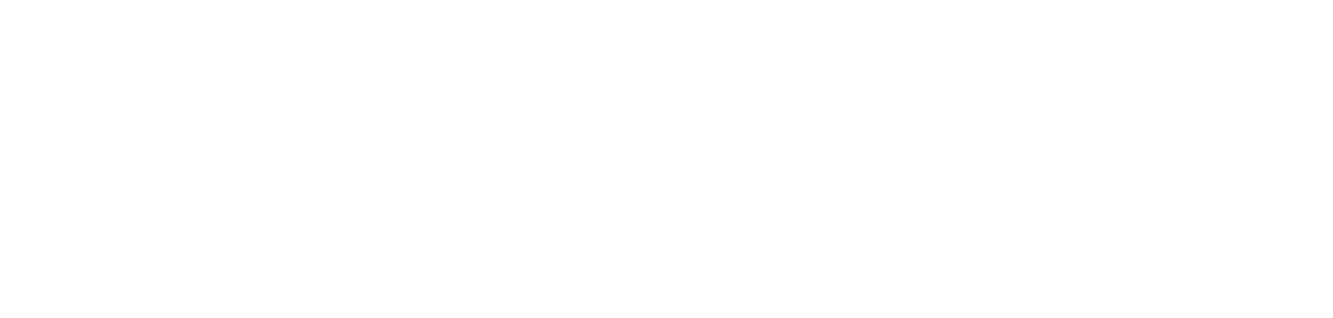 Info Digit Systems