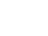 infodsys (1)-01